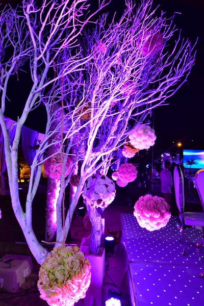 Wedding of Toni Akar